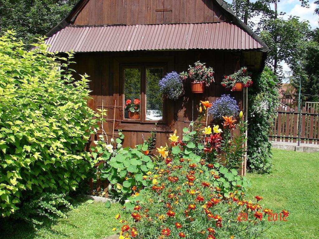 Modrzew Apartman Zakopane Kültér fotó